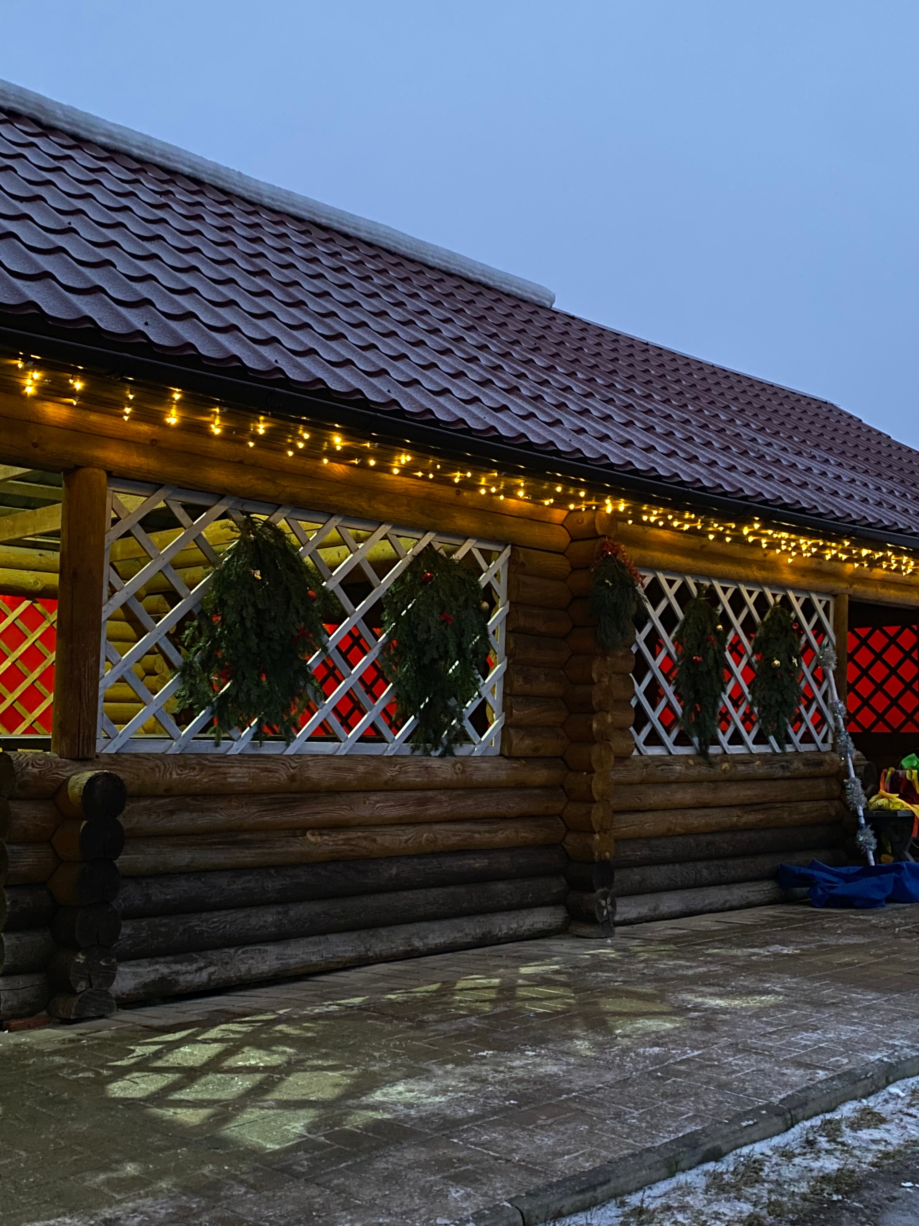 Фото Золотой фазан