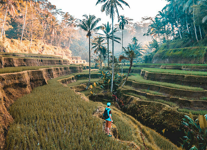 Wi-fi hotspot Ticketix Group, Andijan, photo