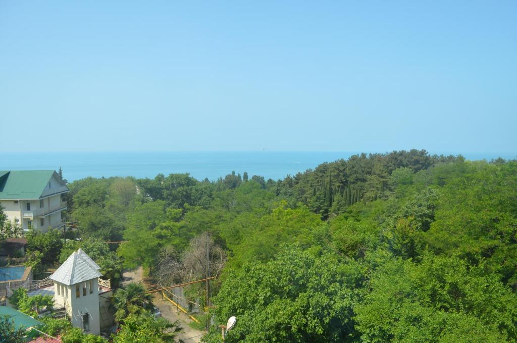 Фото Дом с флагом