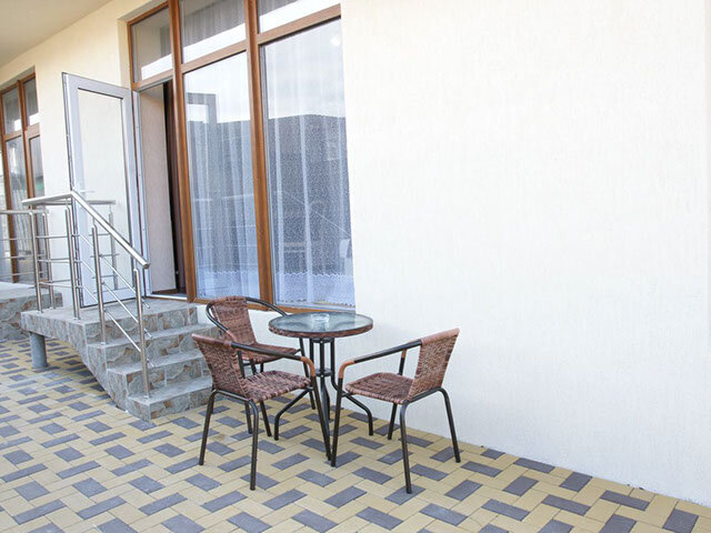 Фото Ленивый тюлень