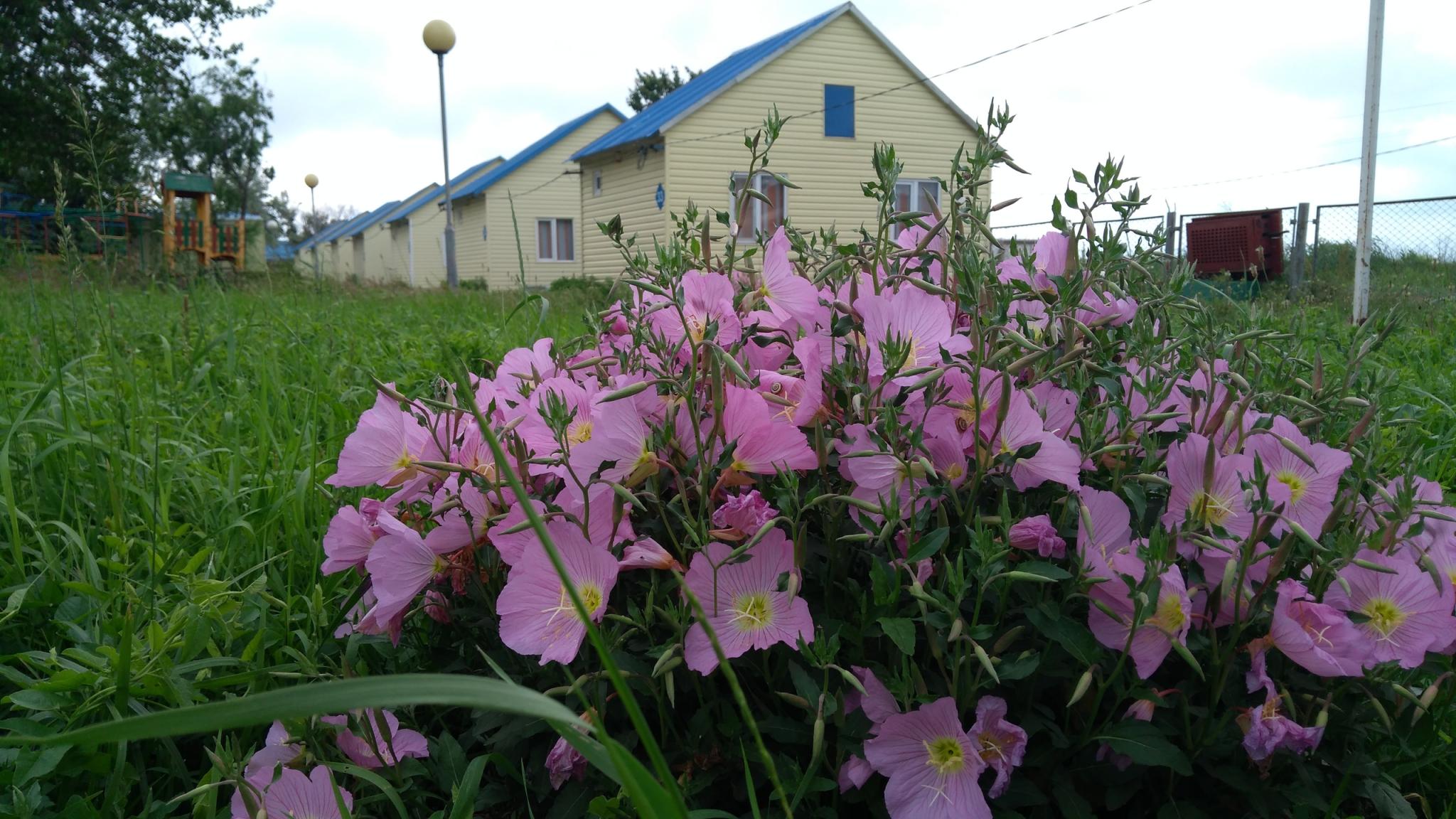 Фото Пансионат Ладога