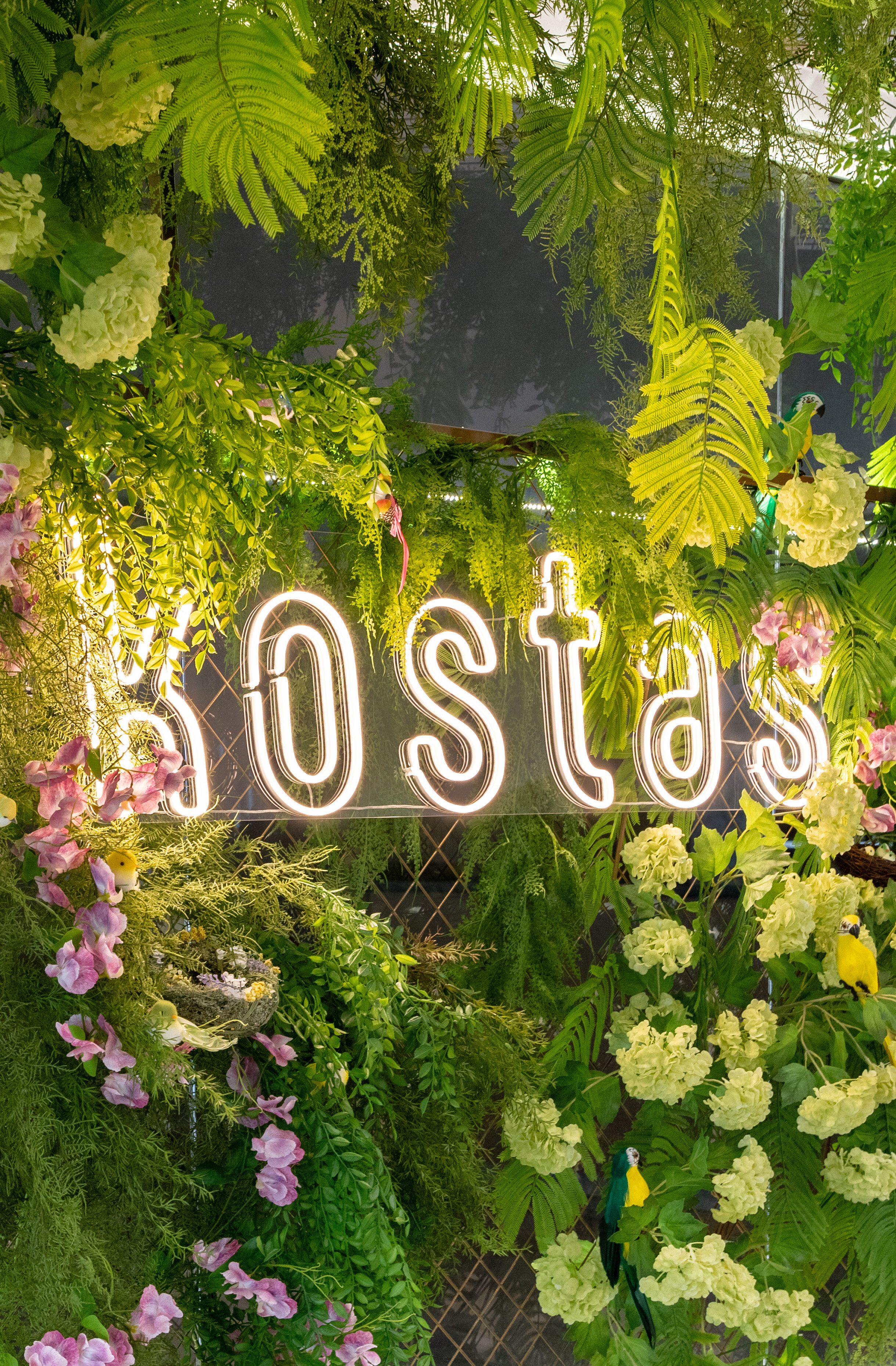 Фото Костас