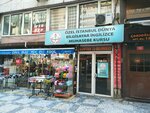 Private Istanbul World Education Center (Istanbul, Kadikoy, Osmanaga Neighborhood, Murver Cicegi Street, 11), cursos de contabilidad