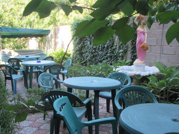 Фото Садочек