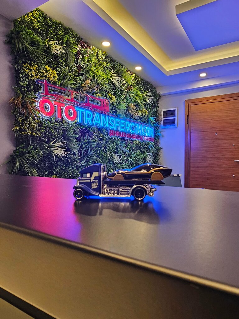 Auto technical assistance, car evacuation My Car Transfer, Antalya, photo