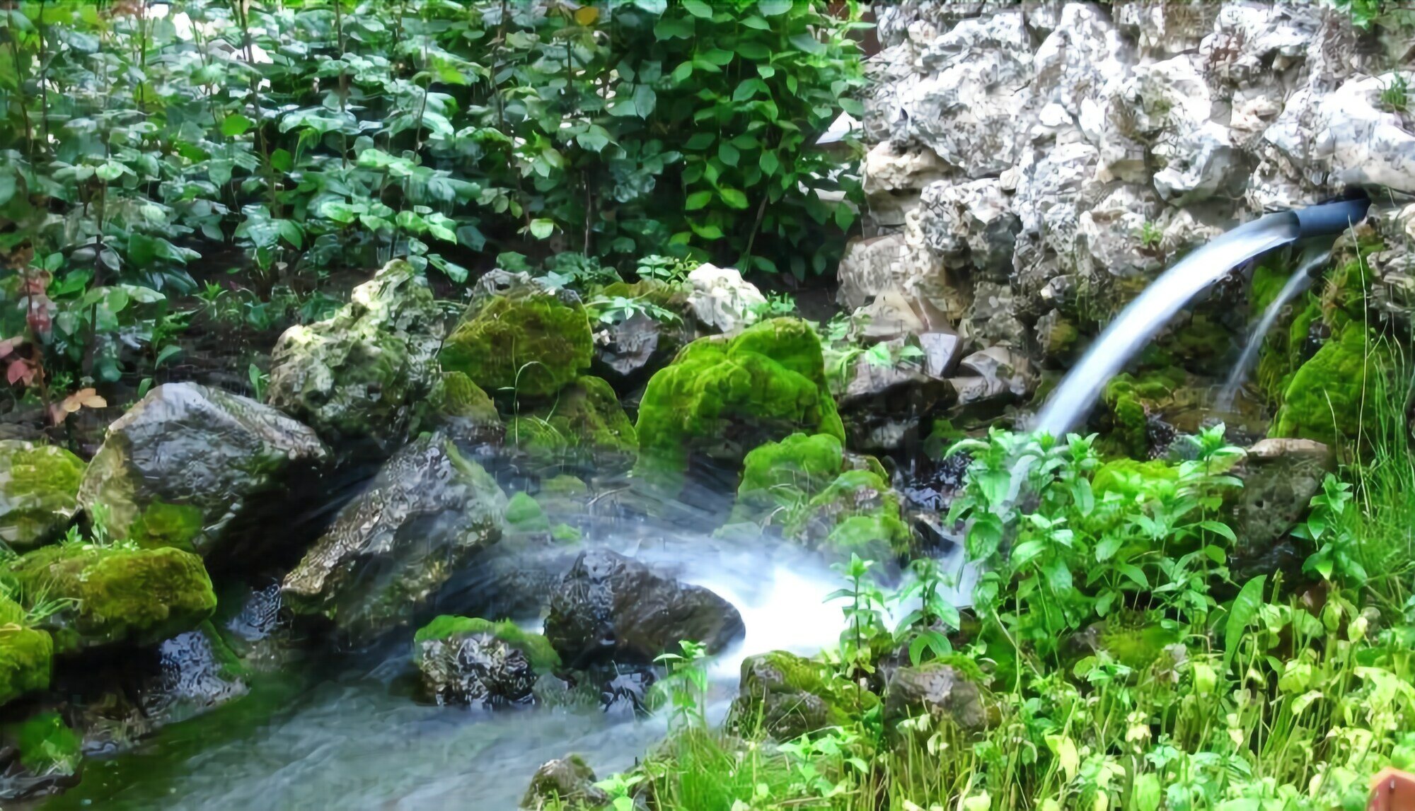 Фото Hotel Izvora