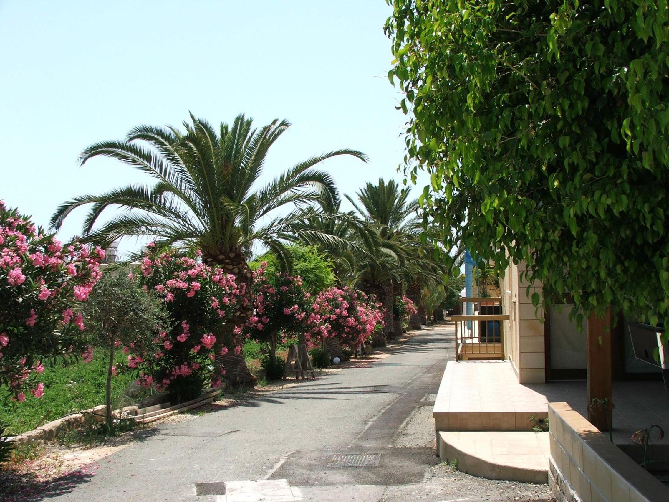 Фото Dimma Seaside Houses