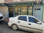 Ardahan Province Hocvan Qimili Village Culture Social Assistance and Solidarity Association (Istanbul, Kagithane, Sirintepe Neighborhood, Alkan Street, 10B), environmental organization