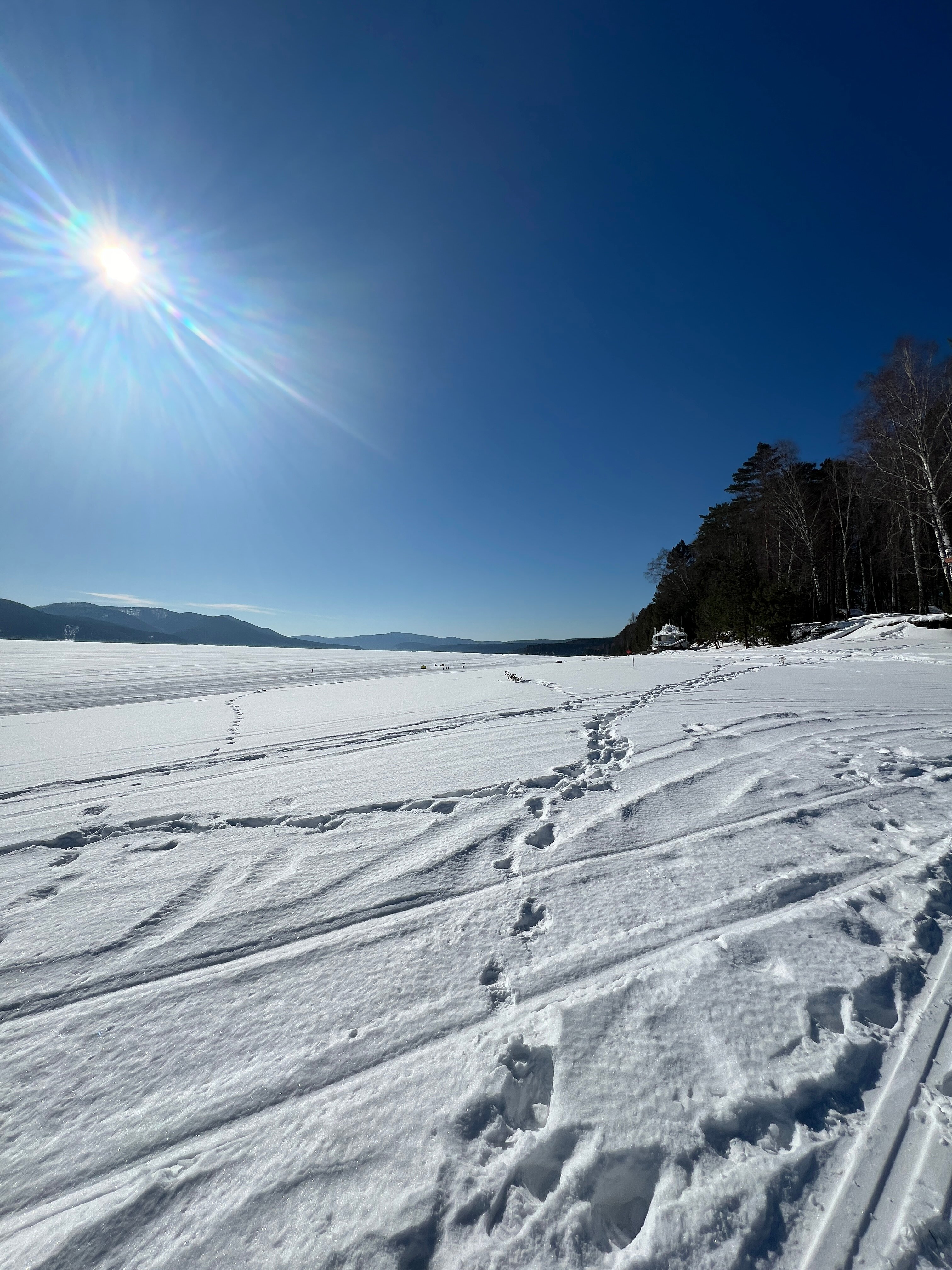 Фото На Шумихе