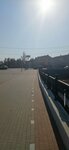 Полесск (Kaliningrad Region, Polessk, Zavodskaya Street), public transport stop