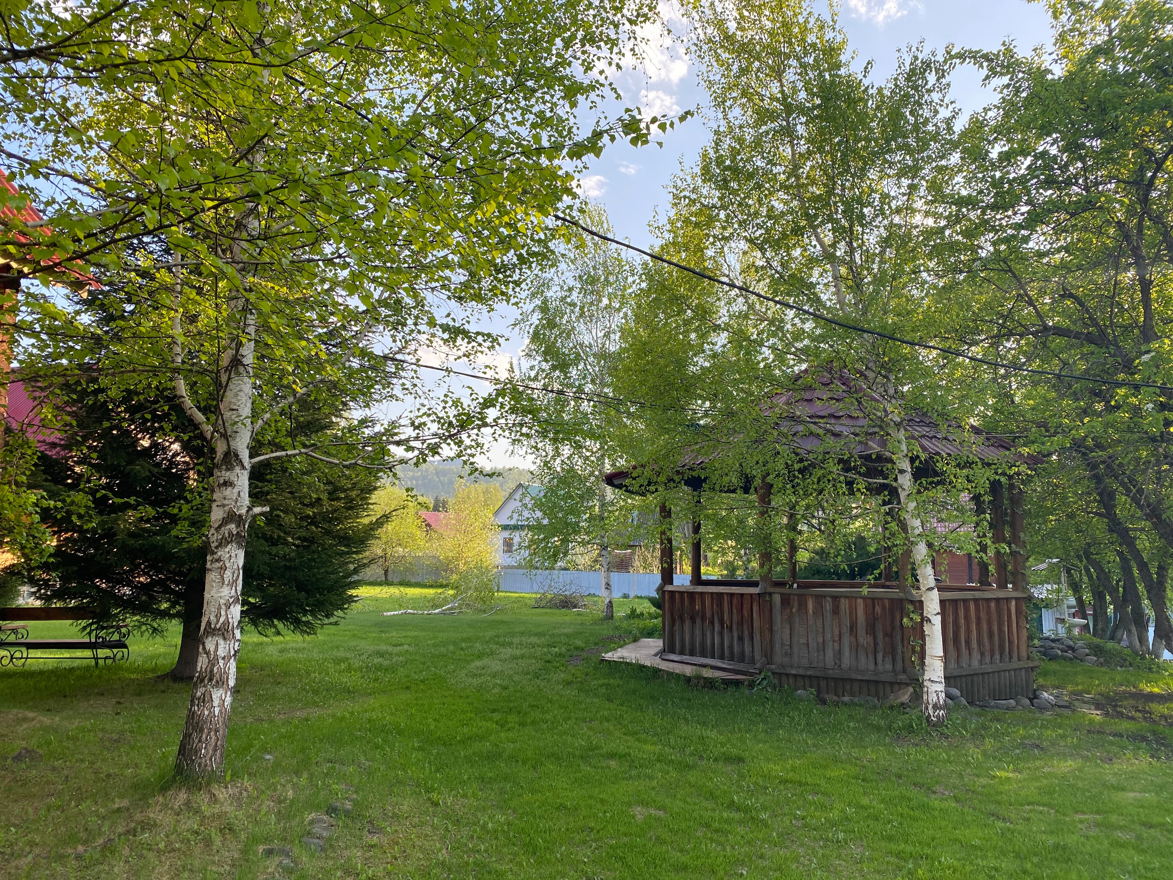 Фото Эдельвейс