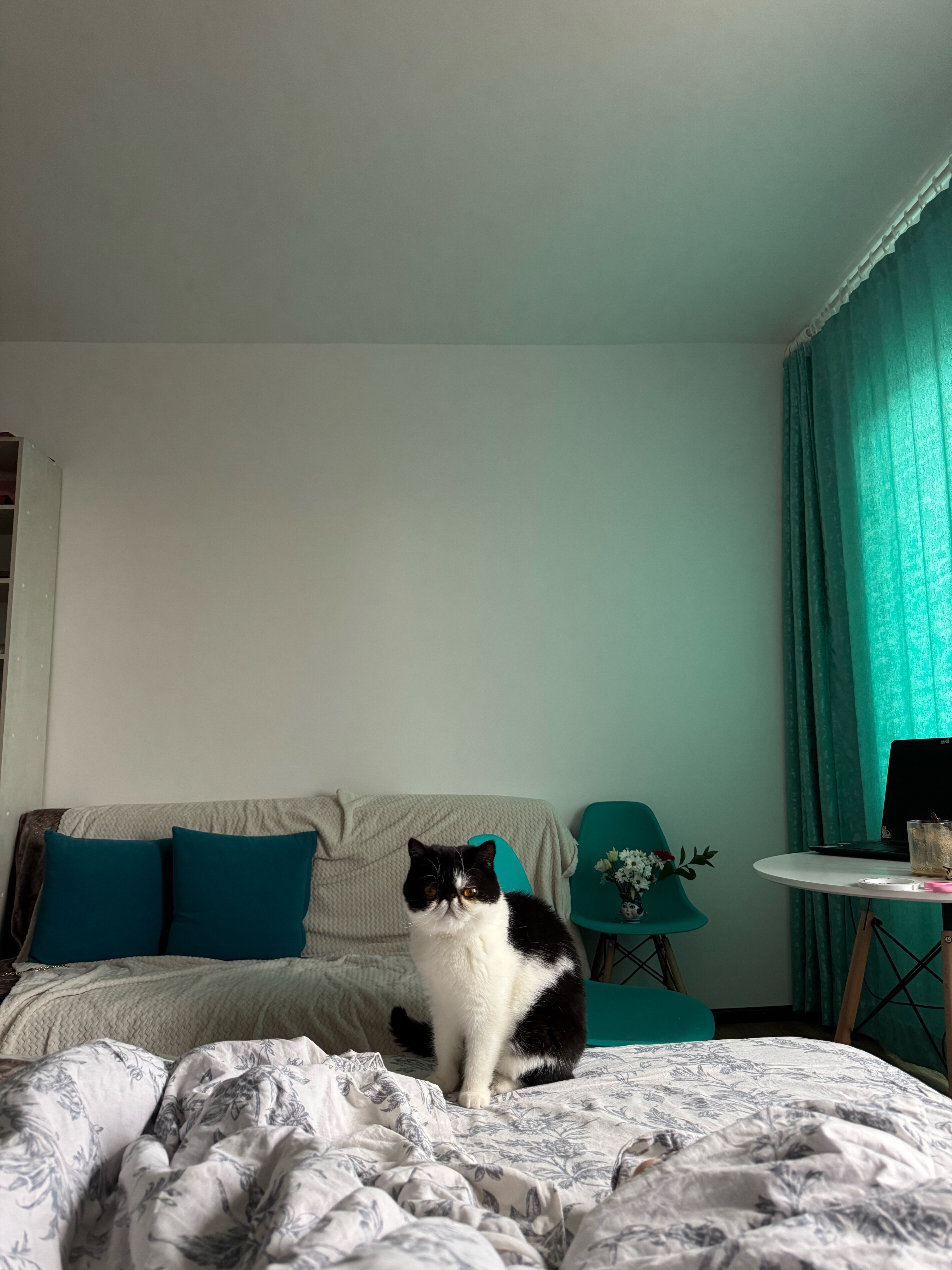 Фото Акварель