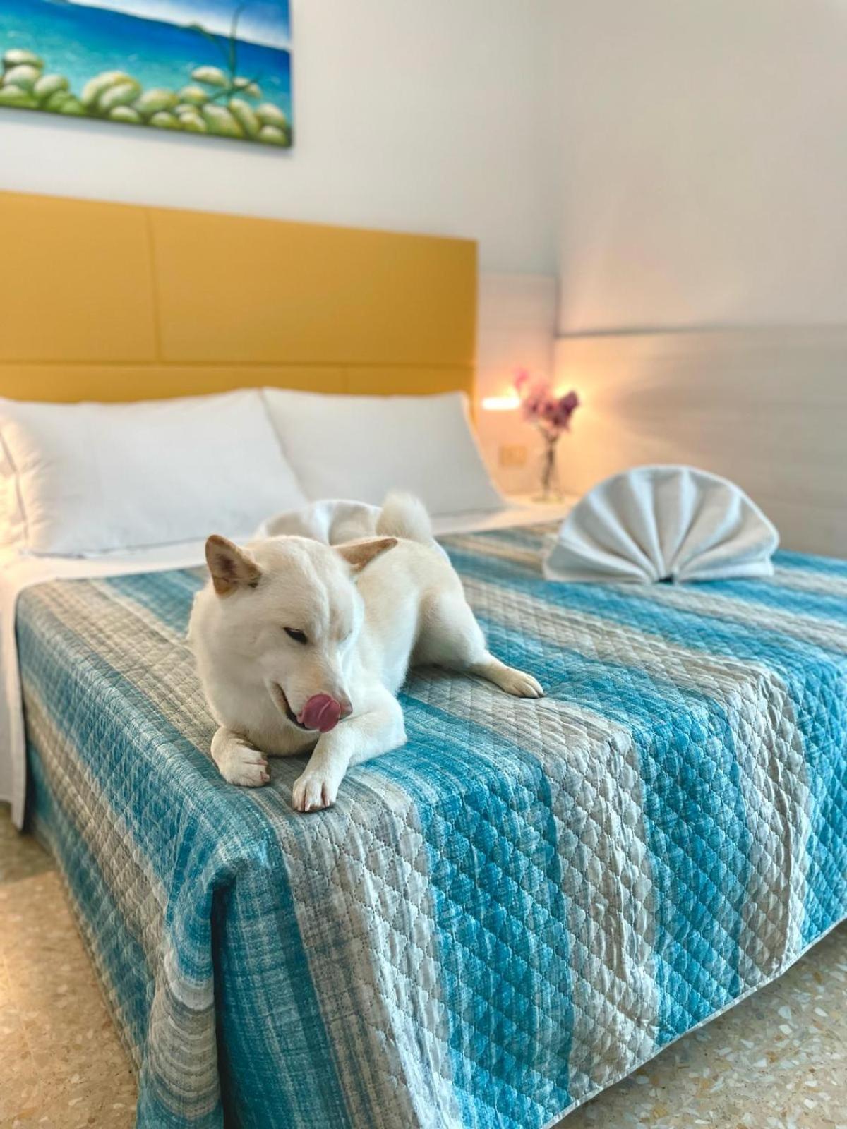 Фото Hotel Crystal