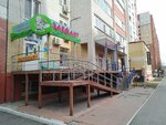 Magazin detskikh tovarov Elefant (ulitsa Vasiliya Goltsova, 10), children's store