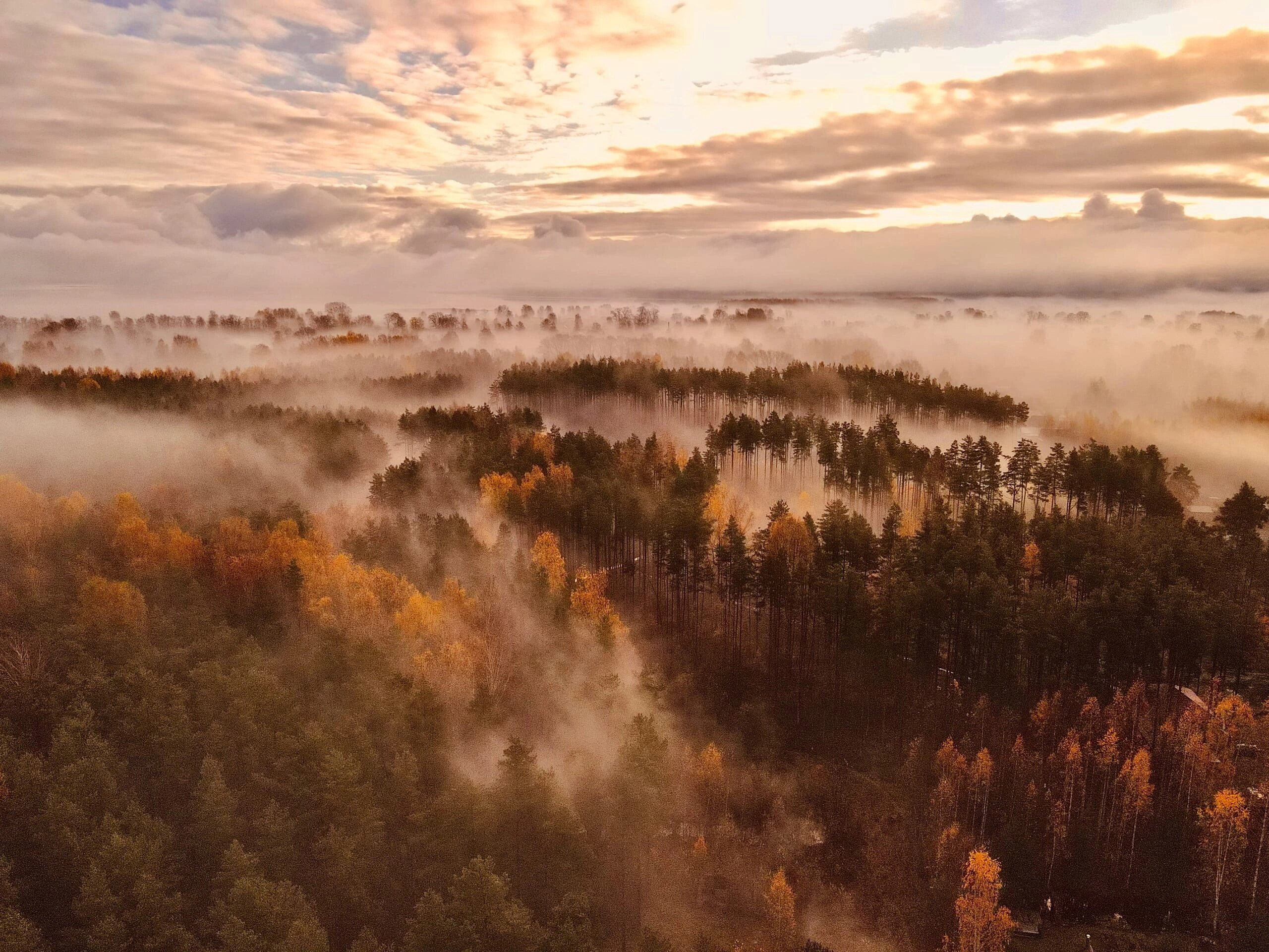 Фото Эко-усадьба Горностай