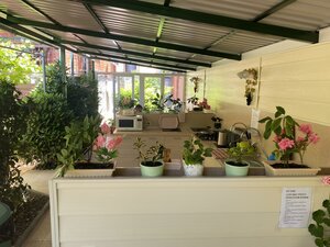 Дом в аренду Дом у моря