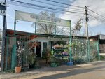Зеленая планета (ST Kuban, Apelsinovaya ulitsa, 6) ، متجر مستلزمات البستنة