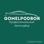GomelPodbor (Шоссейная ул., 8А), автоподбор в Гомеле