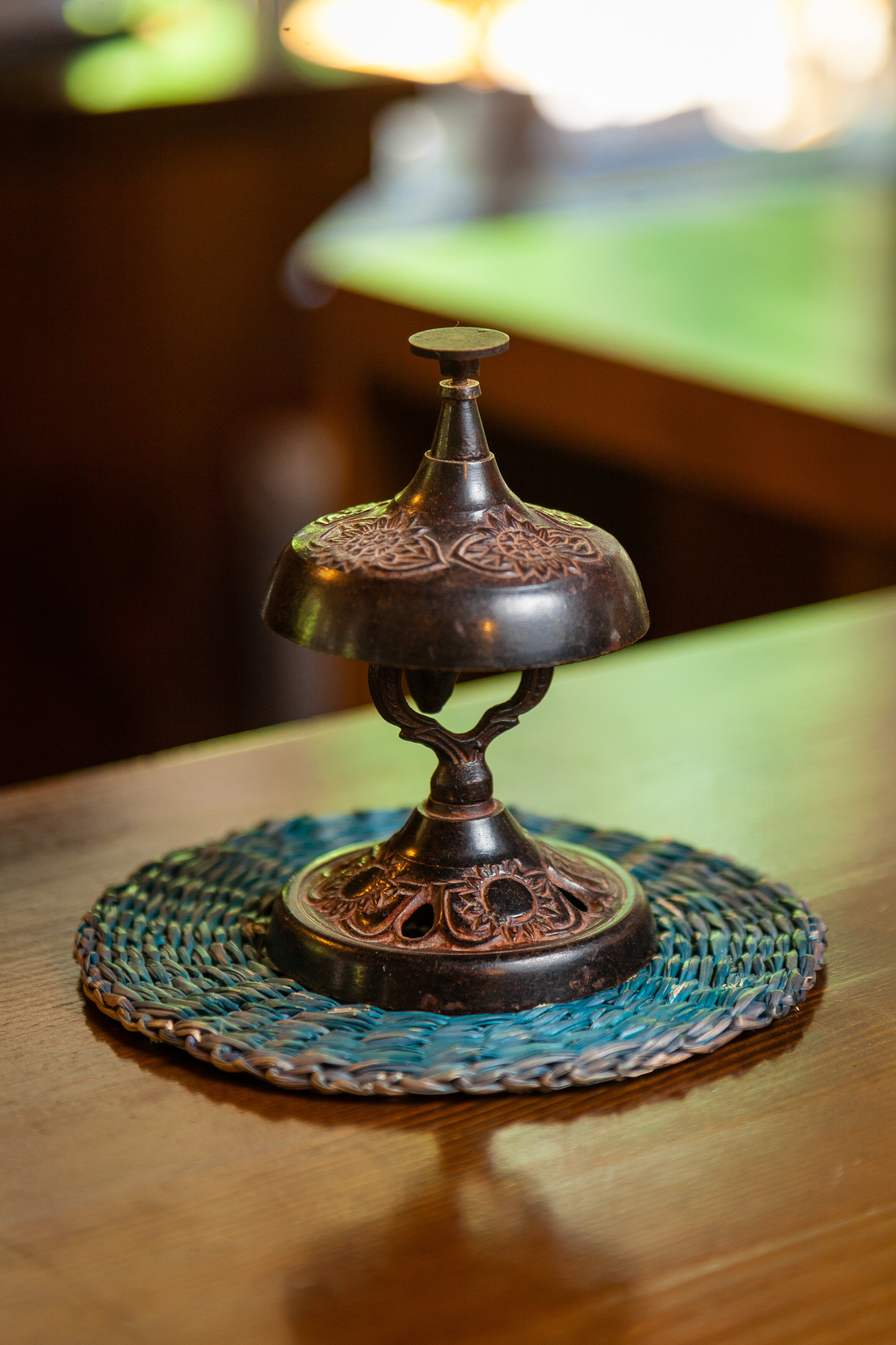 Фото Леонтоподиум