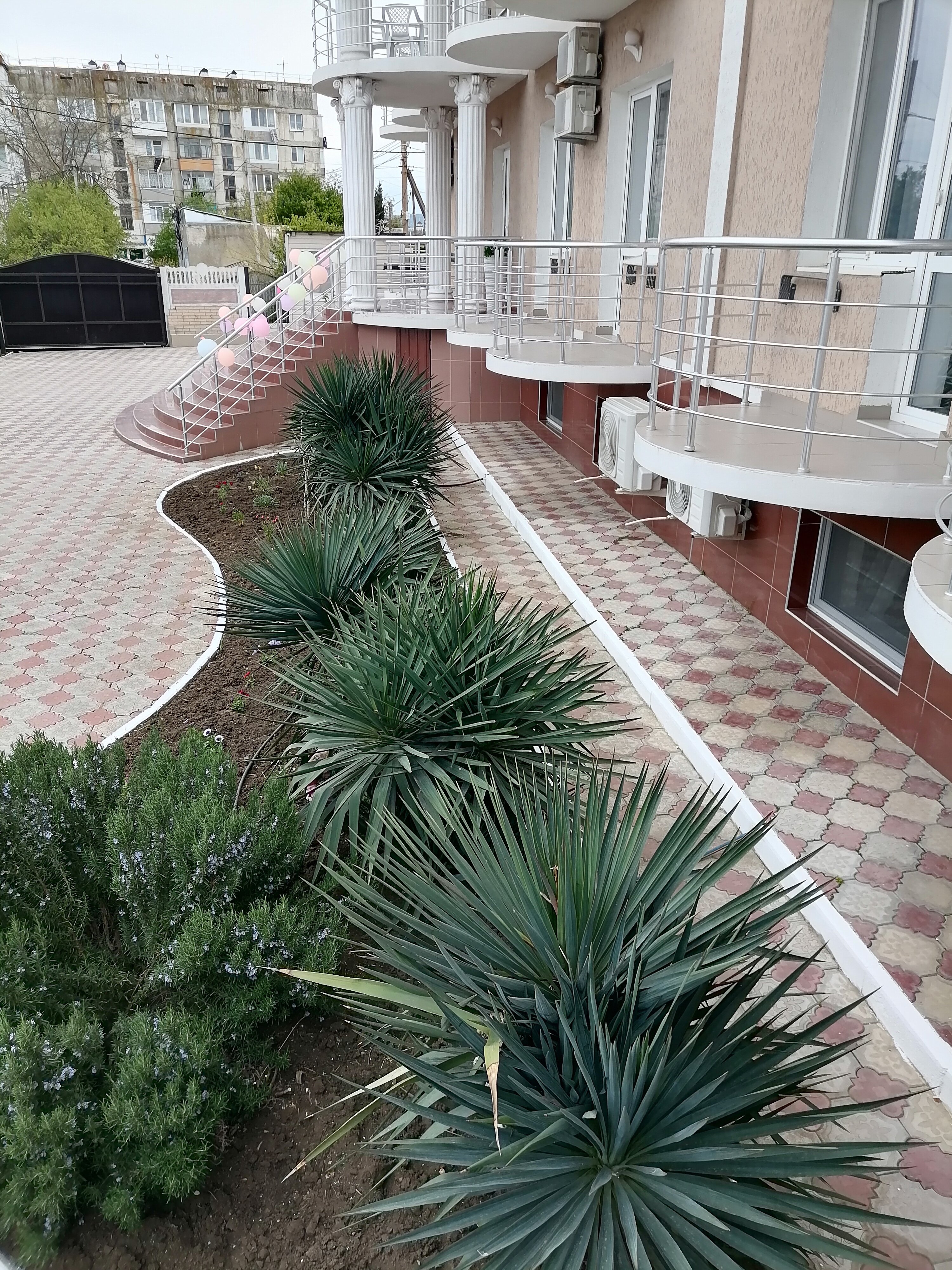 Фото Доминика