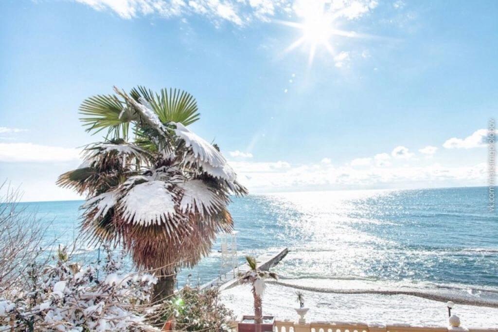 Фото Кармен