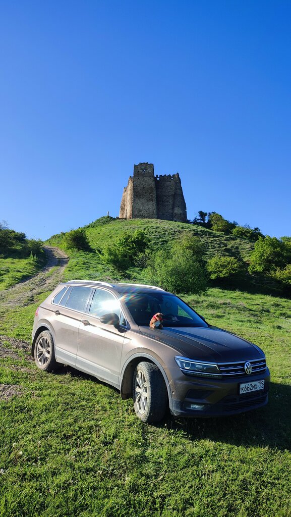 Landmark, attraction Крепость Схвило, Shida Kartli, photo