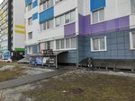 Эрудит (Village of Zasechnoe, Fontannaya Street, 13), further education