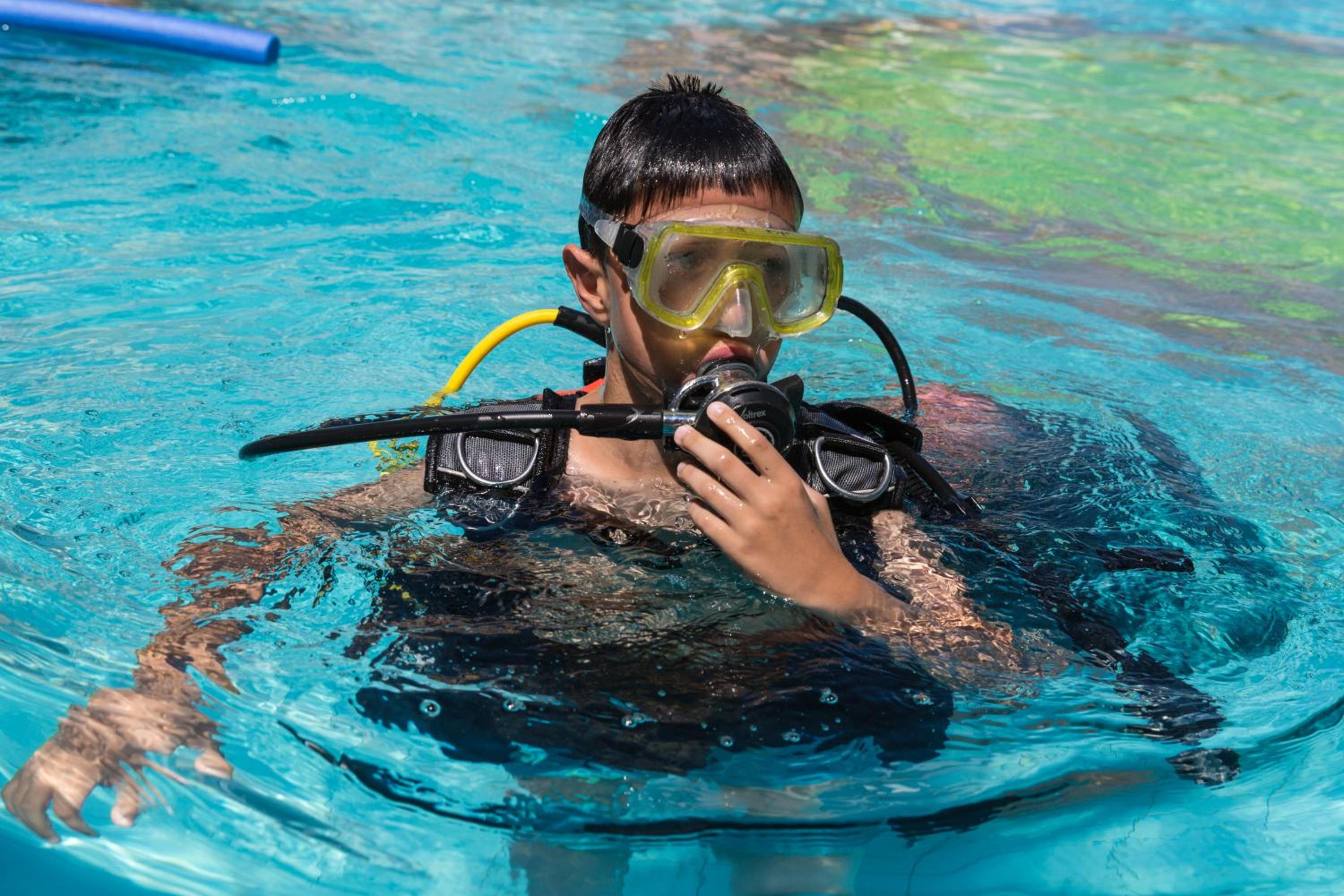 Фото Hotel Albatros