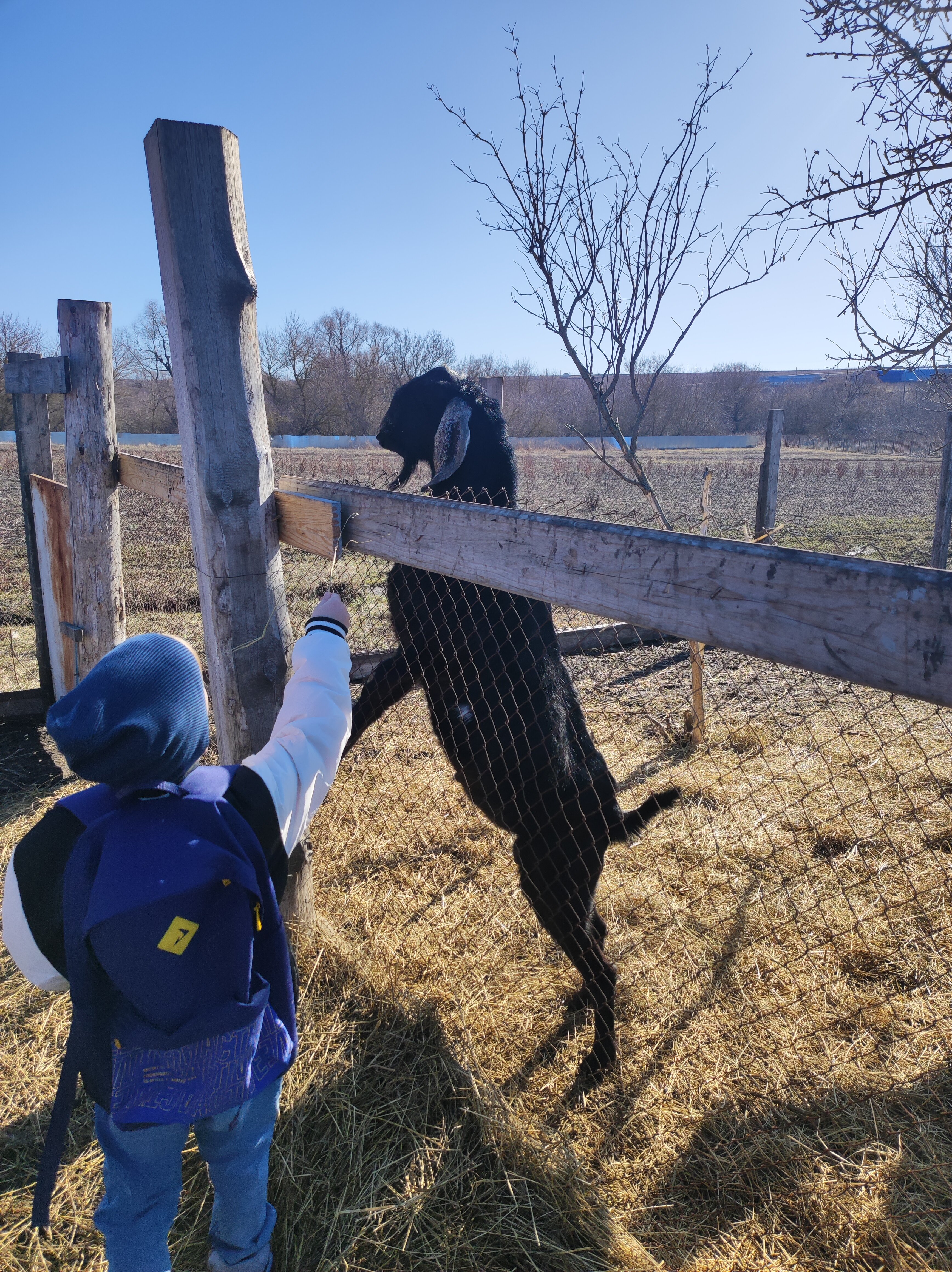 Фото Соты & Варенье