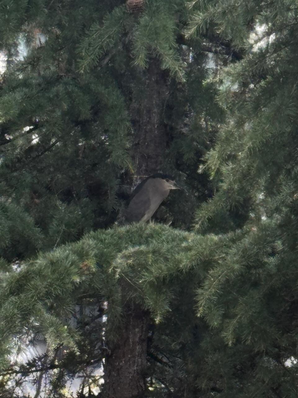 Фото Апартаменты Funduke