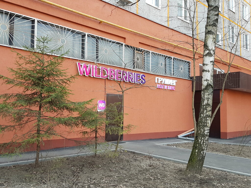 Point of delivery Wildberries, Moscow, photo