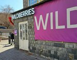Wildberries (Gorkogo Street, 37), point of delivery