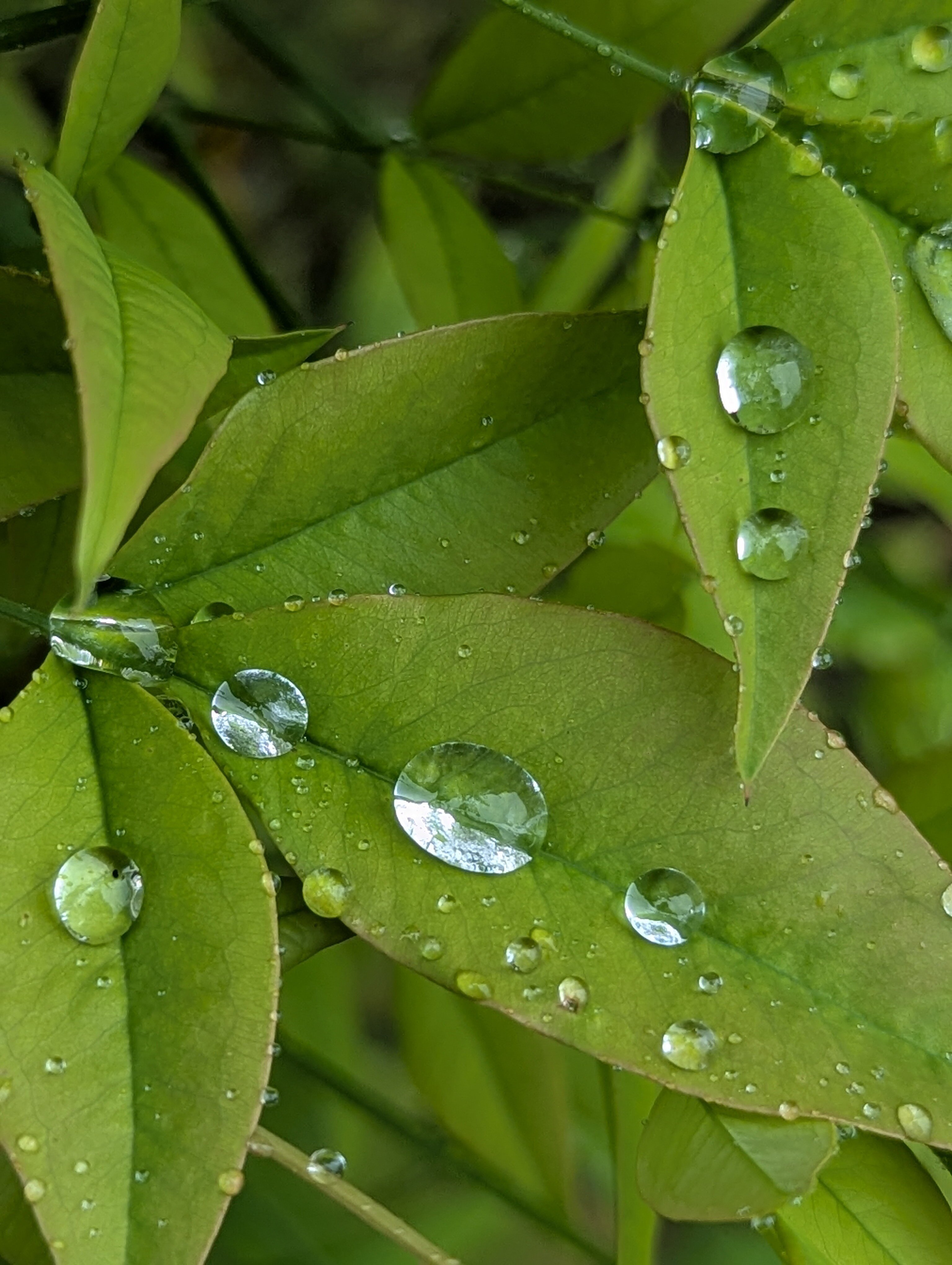 Фото Дом Вилладж