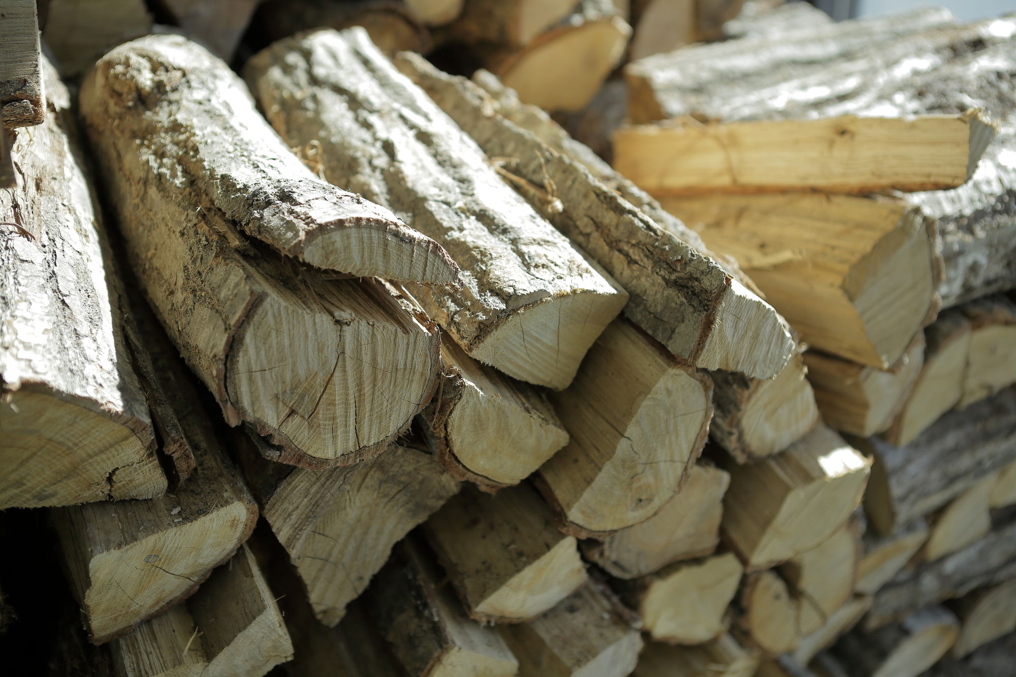 Фото Hotel Nupka - Hostel