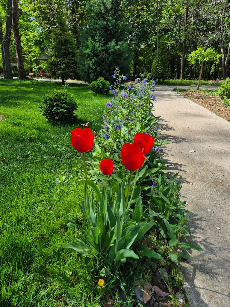 Garden tools and equipment Tashkent Botanical Garden, Tashkent, photo