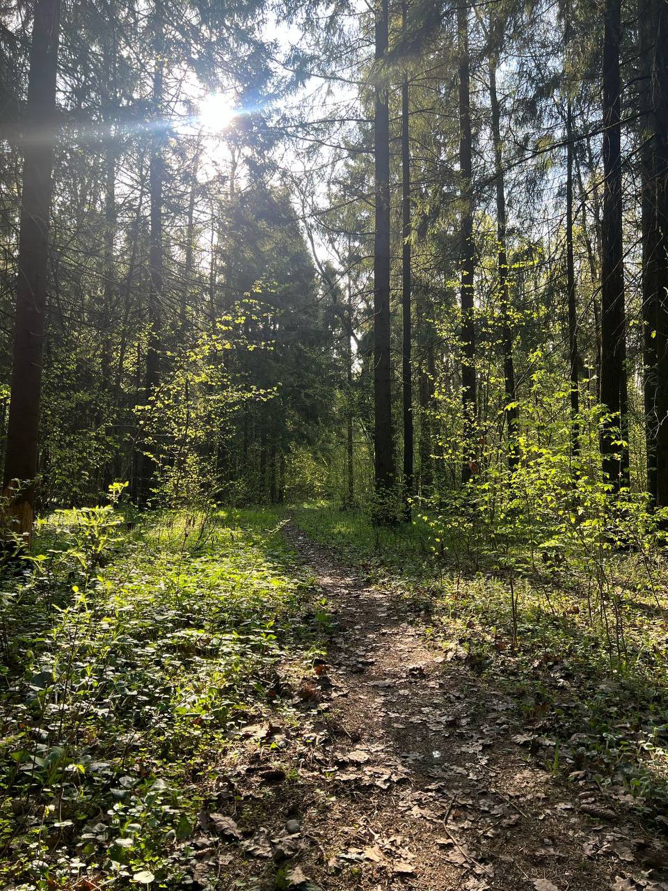 Фото Дом на Смородиновой