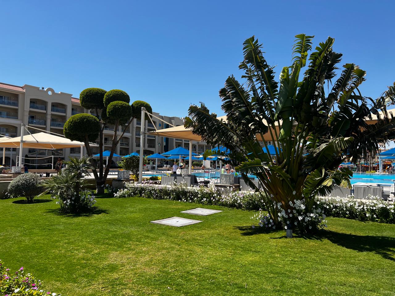 Фото Pickalbatros White Beach Resort