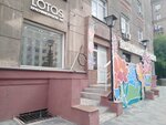 Lotos (Vokzal'naya Magistral, 15) ، محل زهور