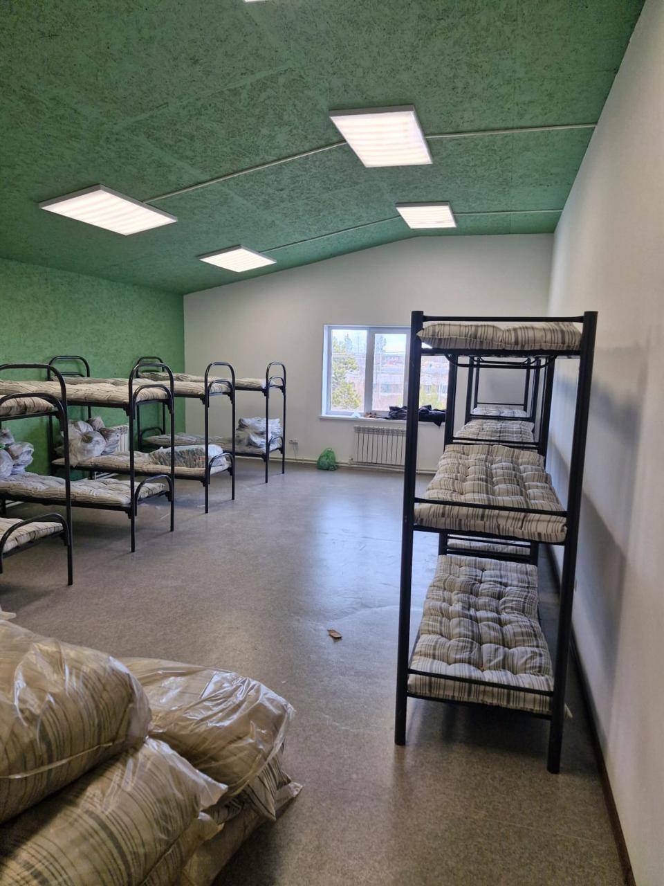 Фото Тундра