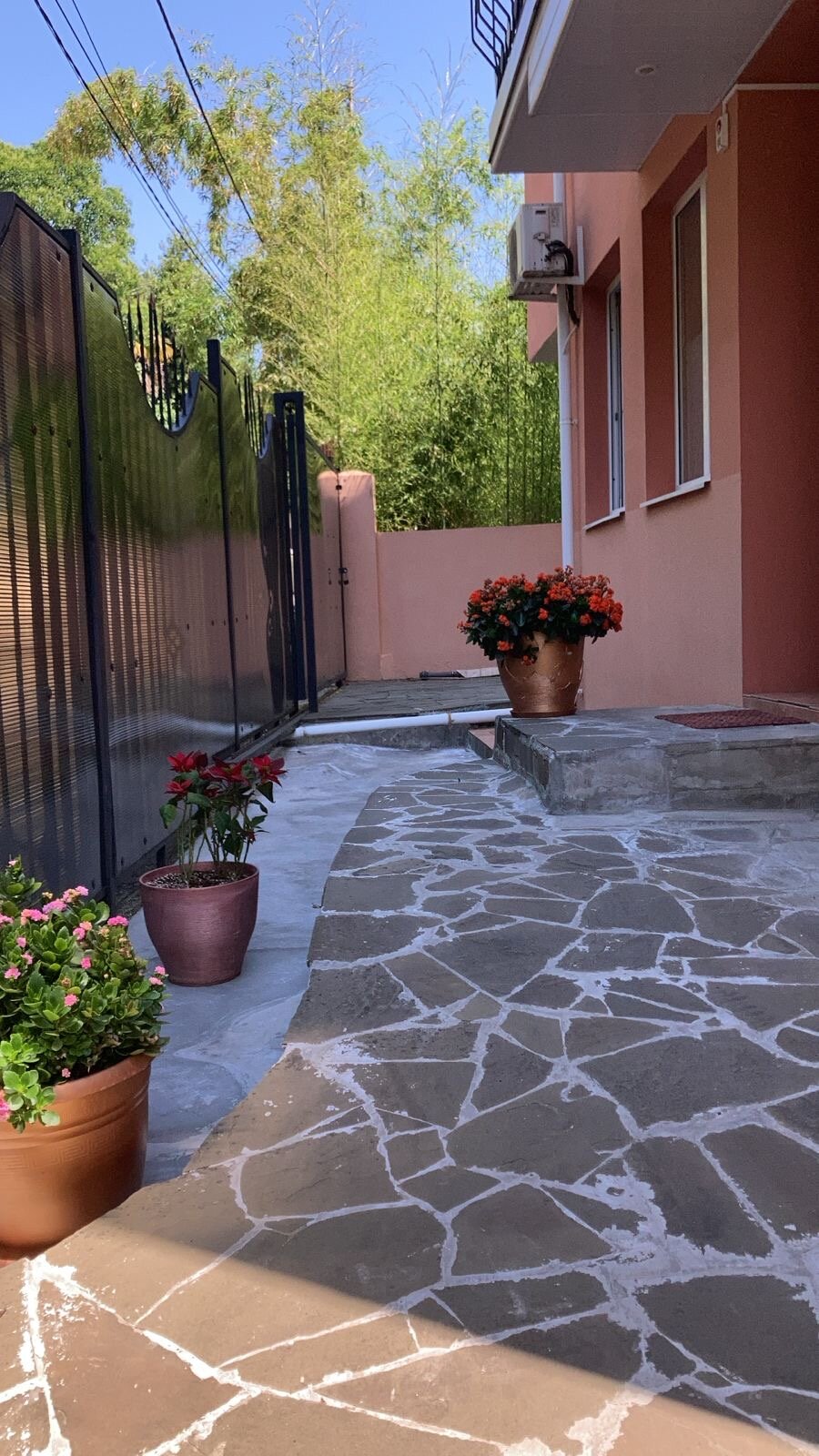 Фото Бамбуковый рай