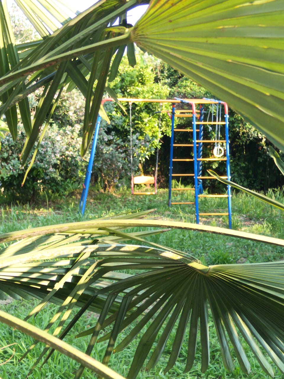 Фото У Комаровых