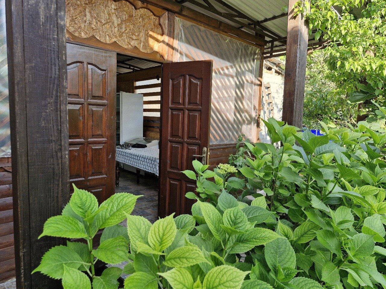 Фото Новая Гагра