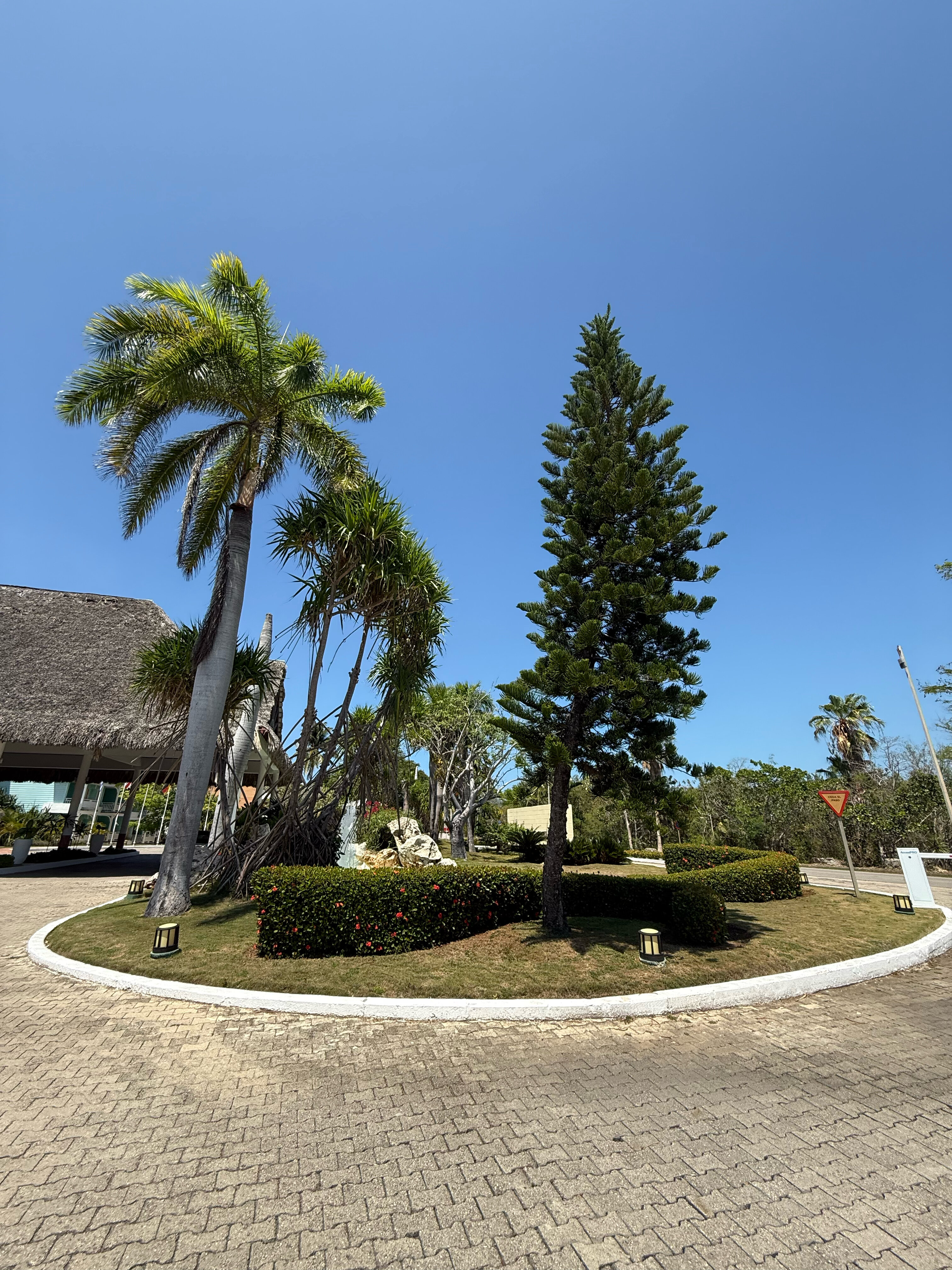 Фото Royalton Hicacos