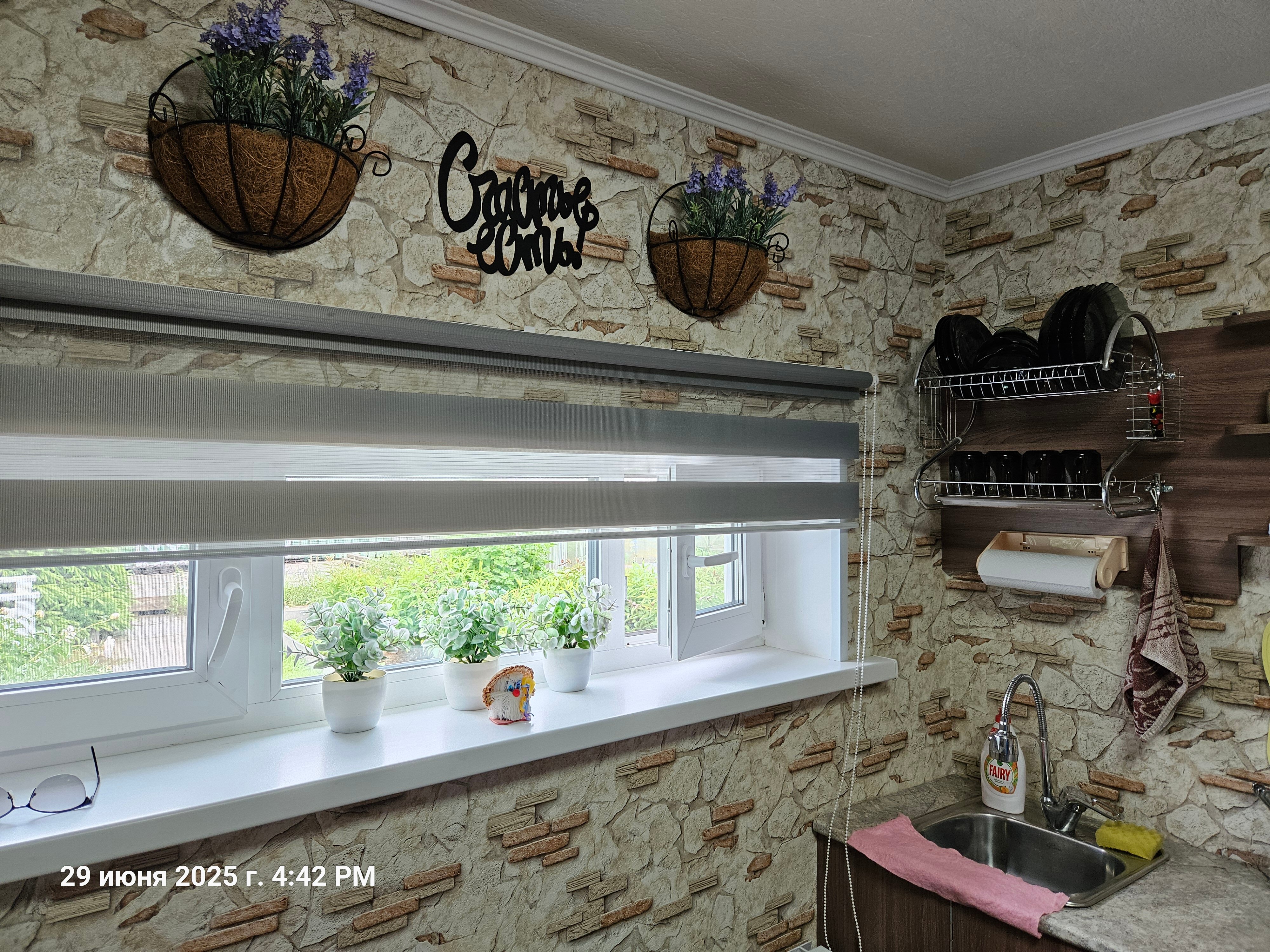 Фото Сенполия