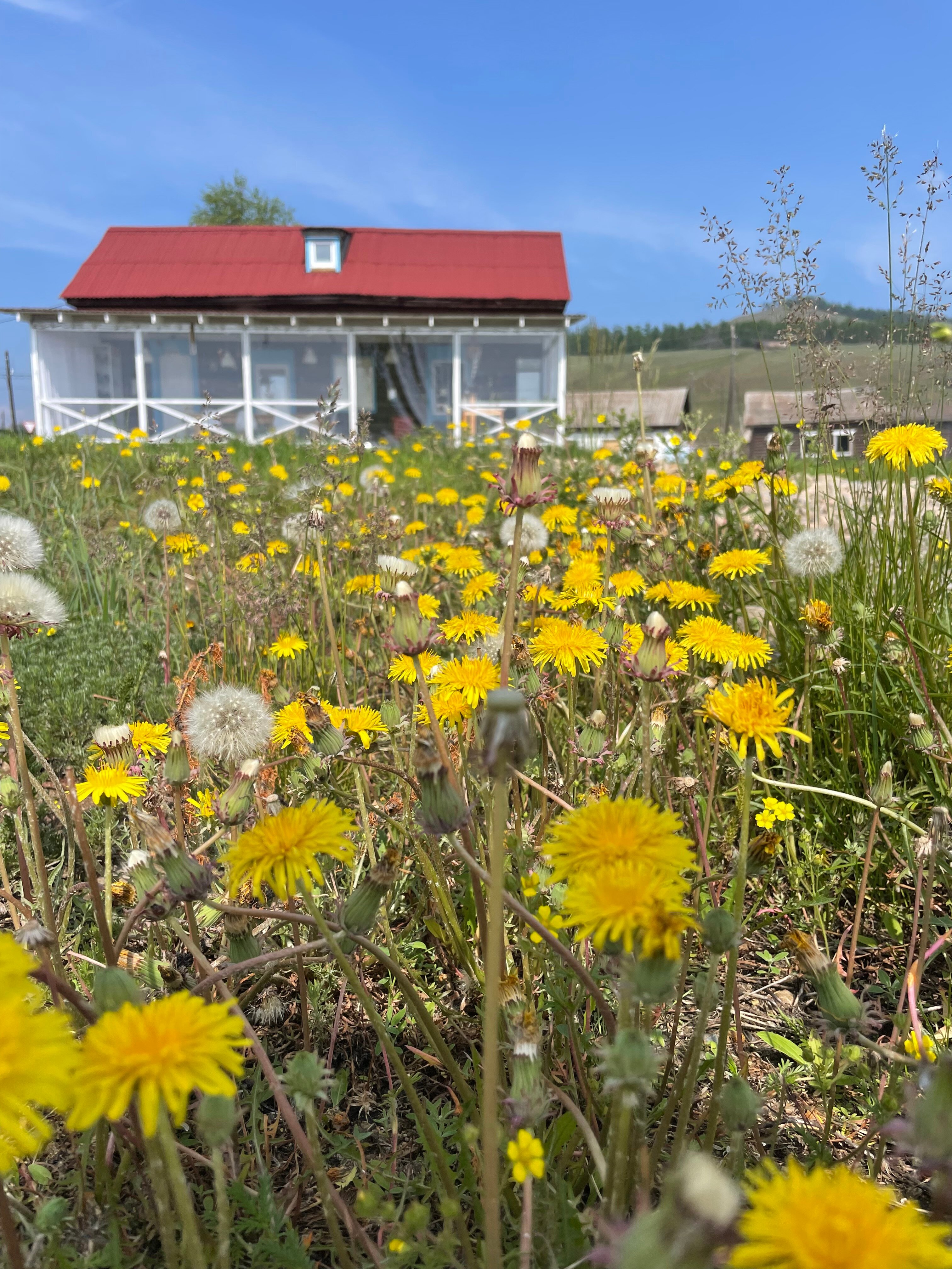 Фото Без паники, мой капитан!
