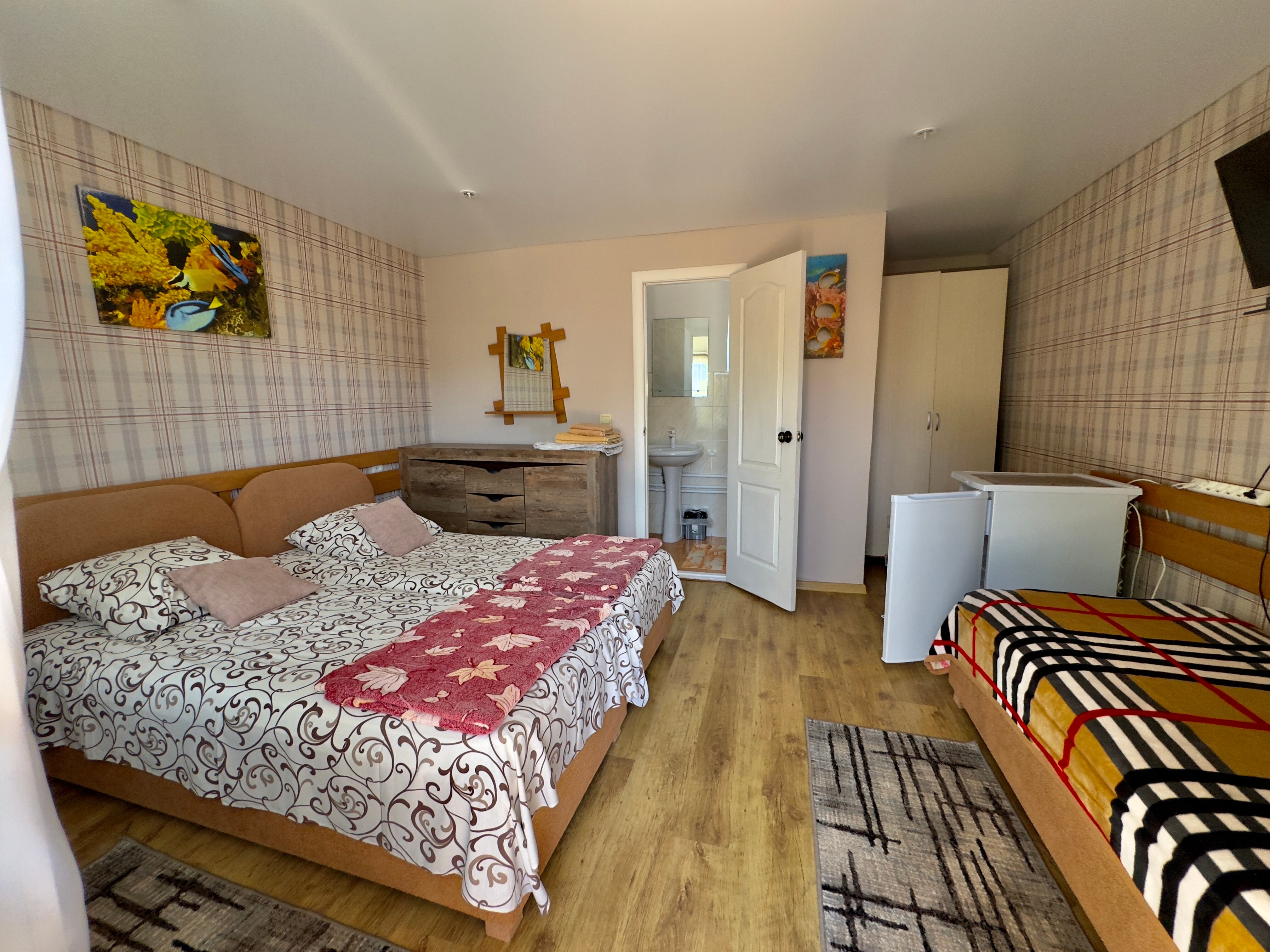 Фото Афалина