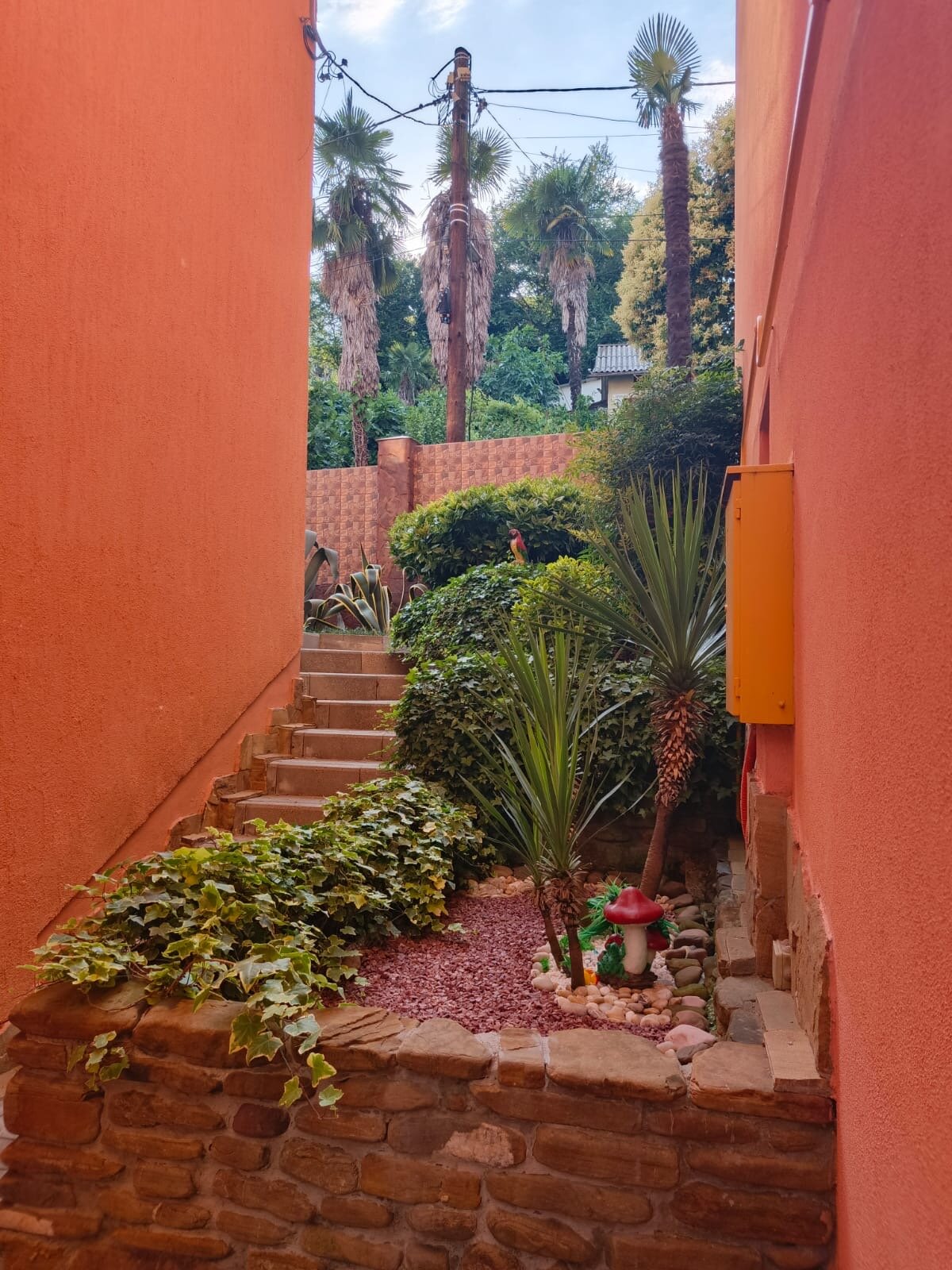 Фото Бамбуковый рай