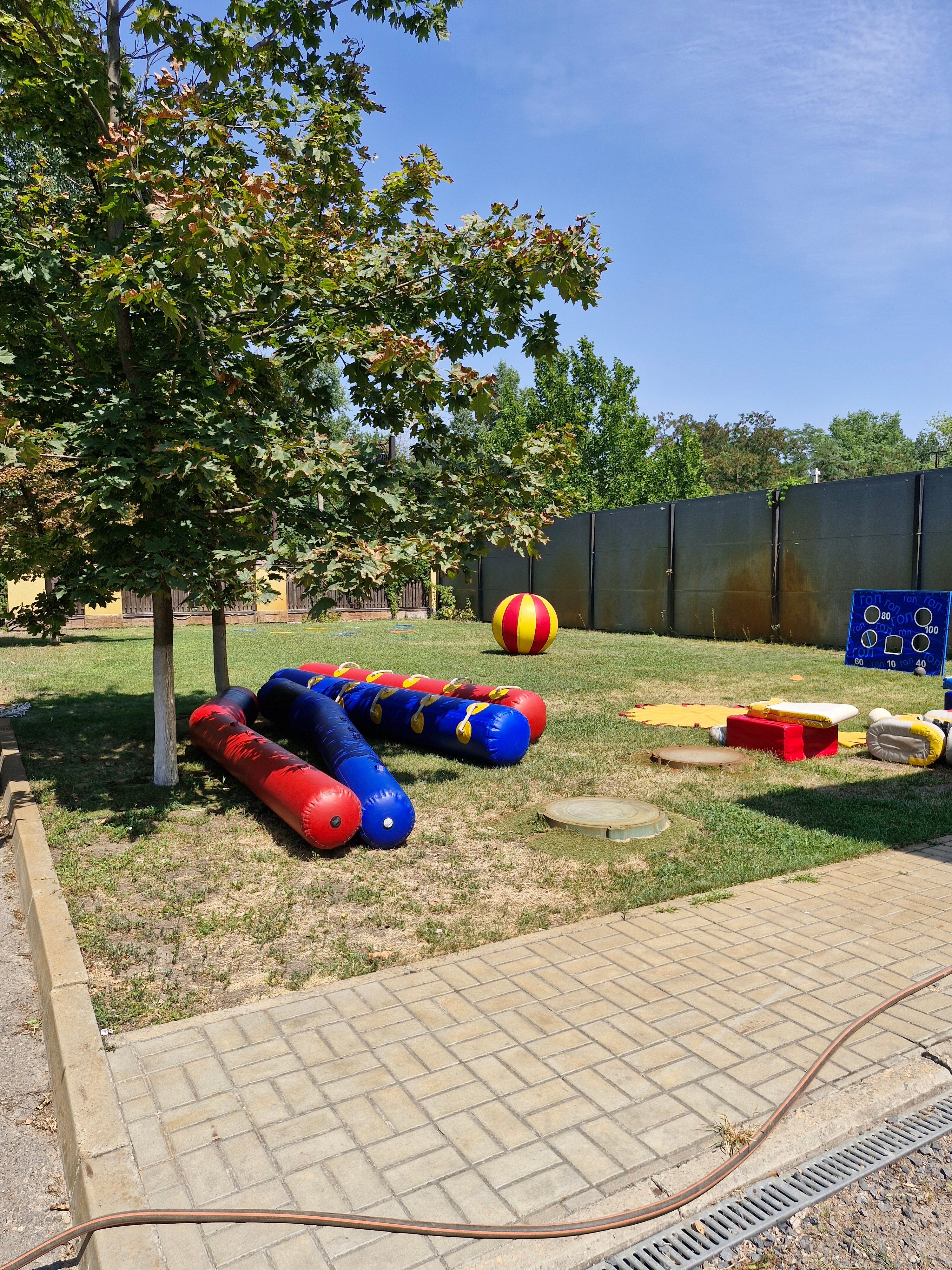 Фото Iva тенистая