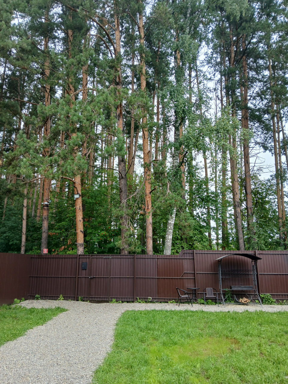 Фото Буревестник