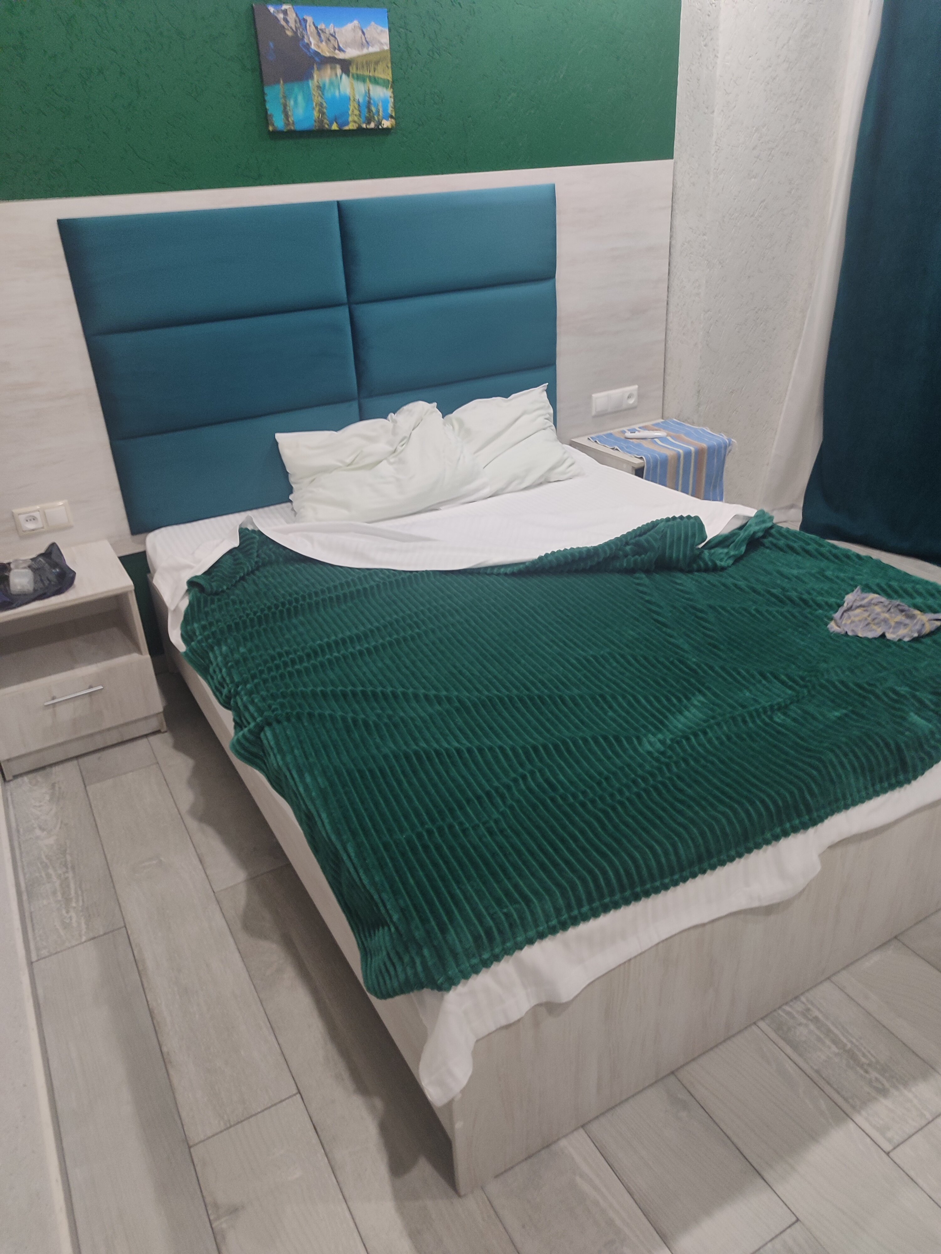 Фото Пальма